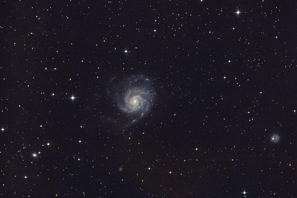 M101_auto_light_1200.thumb.jpg.373aa26553c3a465f11e8990549a26de.jpg
