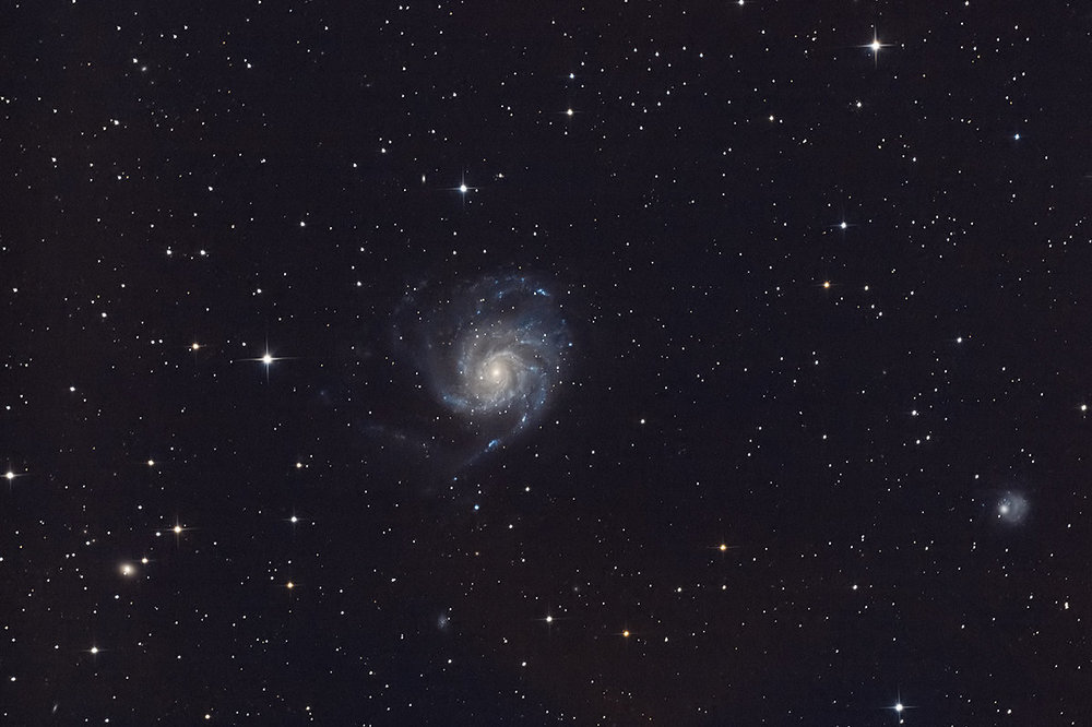 M101_auto_light_1200.thumb.jpg.aa3231ec3c817bfb9492928b9b31c5a3.jpg