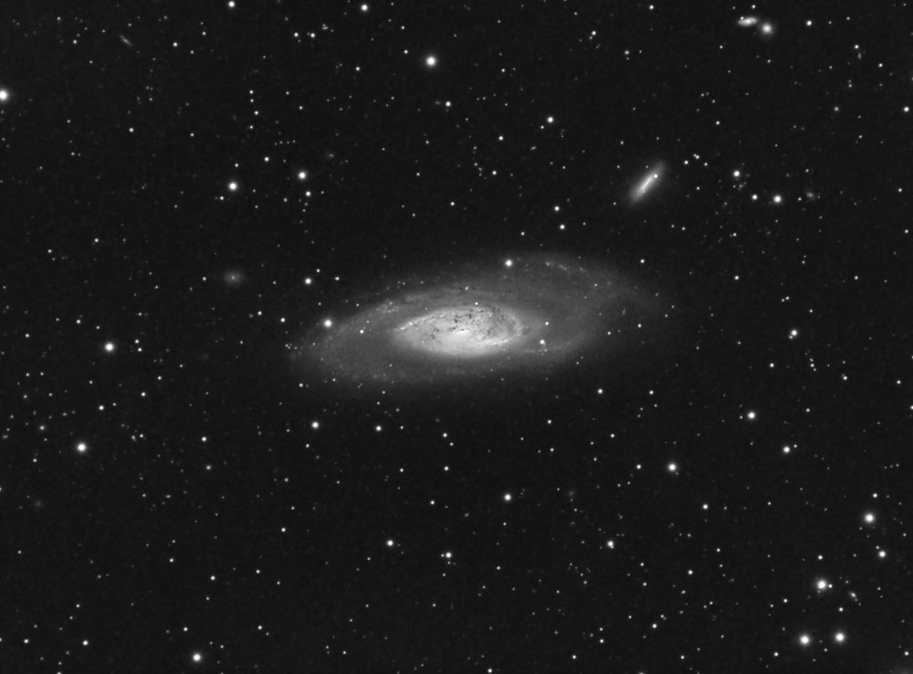 M106_80ED_atik16HR_41x5min_24mars2020.thumb.jpg.0f5c5d0c7261890fb4139cbca6f1b6e5.jpg