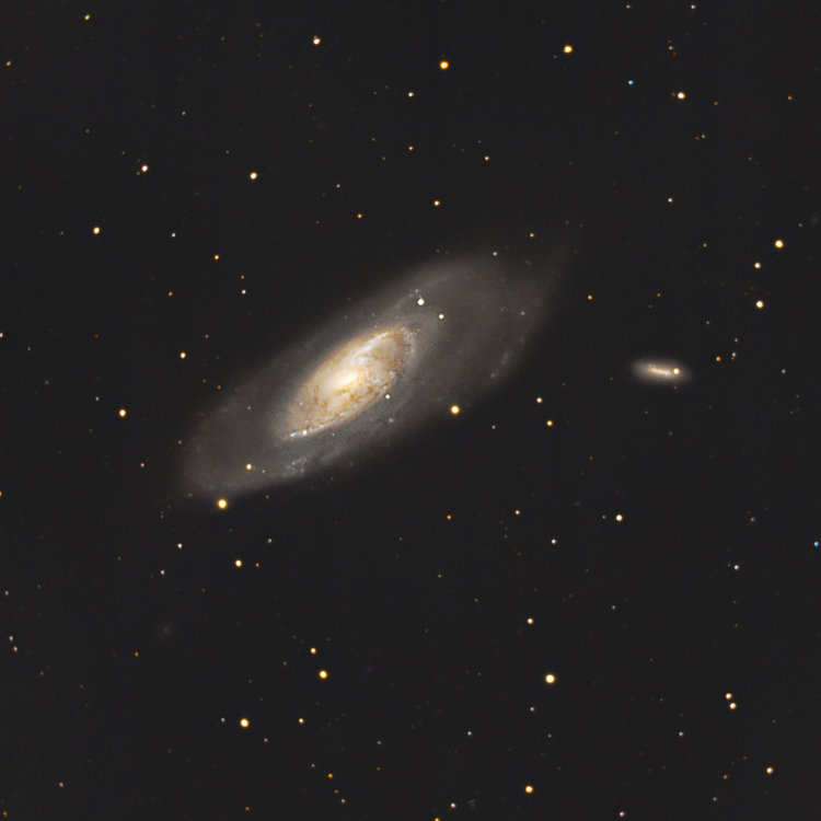 M106_DFOCD_04_01_01_01_03_CropRed.thumb.jpg.455c8a03e564035a1b964d4327076f49.jpg