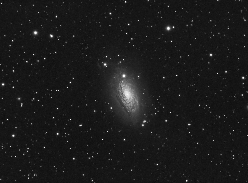 M63_80ED_atik16HR_40x5min_L_23mars2020_v2.thumb.jpg.66ab447509297224917e8e7ae47ba91d.jpg