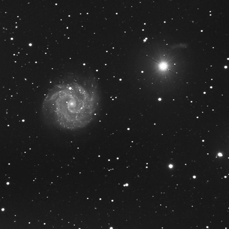 NGC3184.thumb.jpg.e058c098395a9b5906c79cc7db78e366.jpg