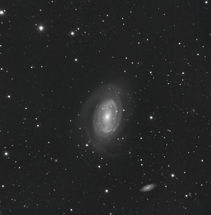 NGC4725_DFOC_Dr_01_denoise3_01_gradient_01_red.thumb.jpg.0e445e668f6f524d4c2880de9e600318.jpg