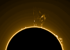 S20120416-17h59UT-18h15UT-ls35-DMK41-r25.gif.c7b0a76c6f74d9fd04dfbe3f062e721c.gif