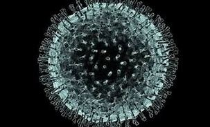 coronavirus.jpg.300ed30c1cffc3563887f5405d836b4f.jpg