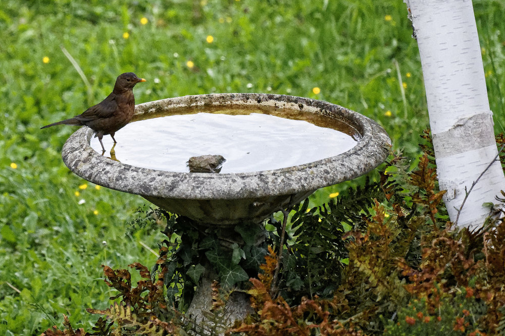 DSC06185_DxO Peg .jpg