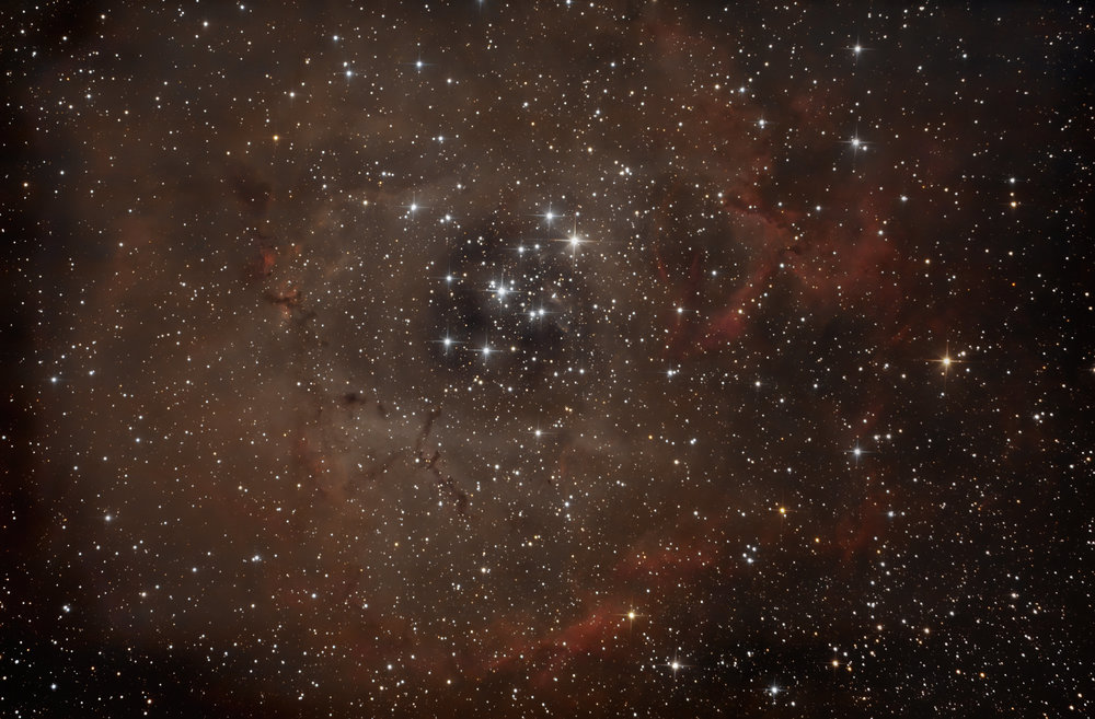 resultatrosette 4.1.jpg