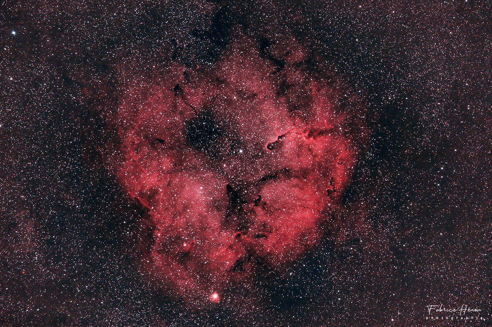 20200515_IC 1396 - Trompe Elephant_002_a.jpg