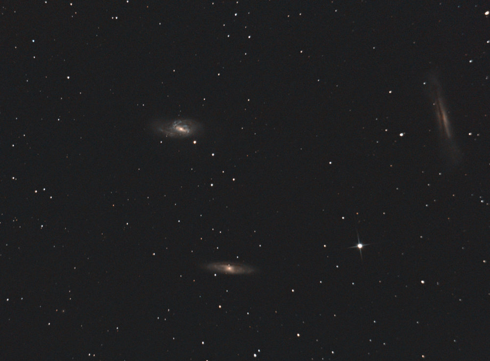 Leo Triplet trait PS.jpg