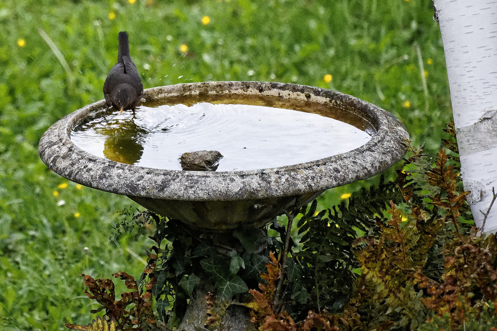 DSC06186_DxO Peg .jpg