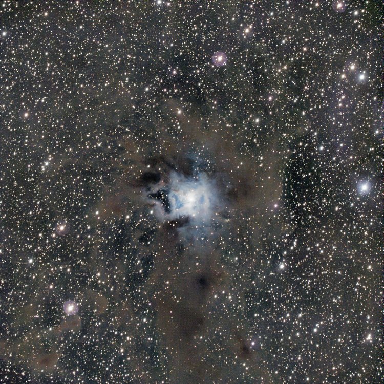 2020-05-19-iris-nebula.thumb.jpg.af715e61410edc00c9650096933b3ede.jpg