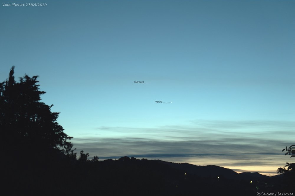 2080679830_Venusmercure23052020_00004.thumb.jpg.56e5831d513871c127efca3a99993372.jpg