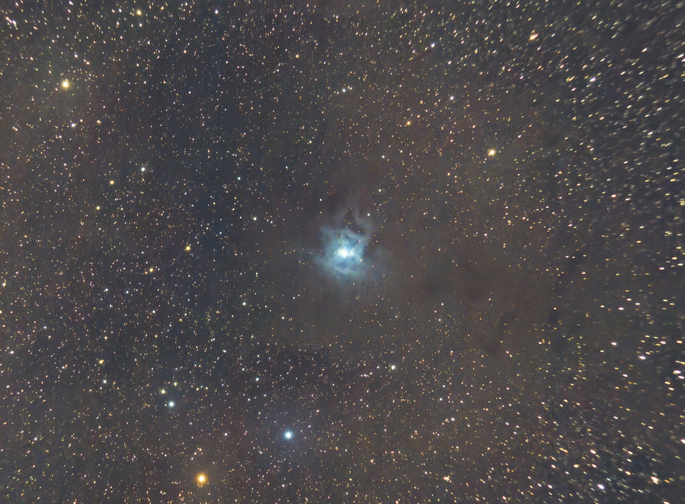 V2 iris-denoise-denoise-2.jpg