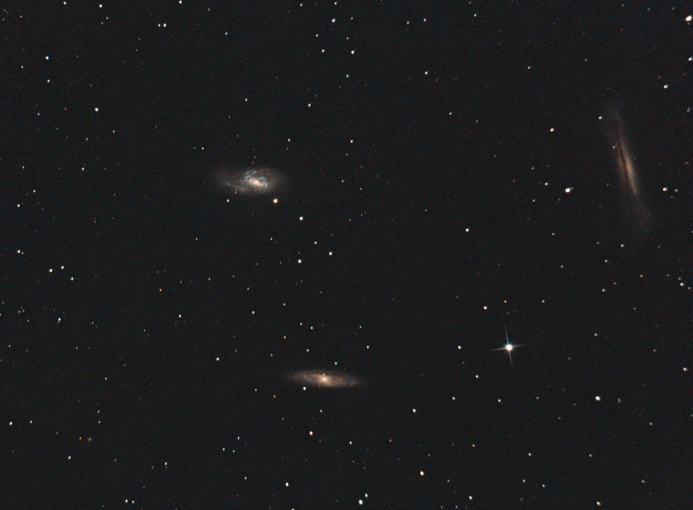 Leo Triplet trait PS v2.jpg