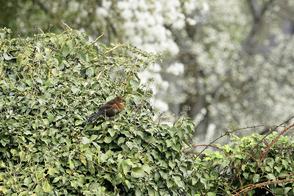 DSC05939_DxO Peg .jpg