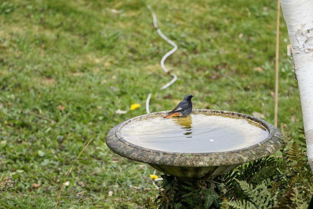 DSC05943_DxO Peg .jpg