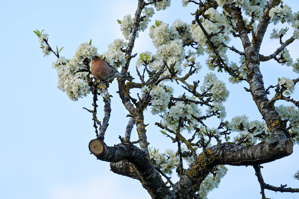 DSC05932_DxO Peg .jpg