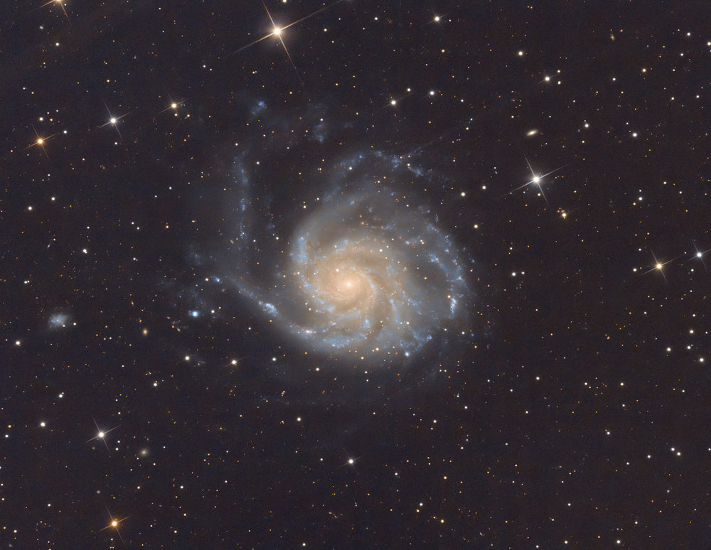 M101V2.thumb.jpg.c2de0ce007ef0520eb96b08d845a211f.jpg