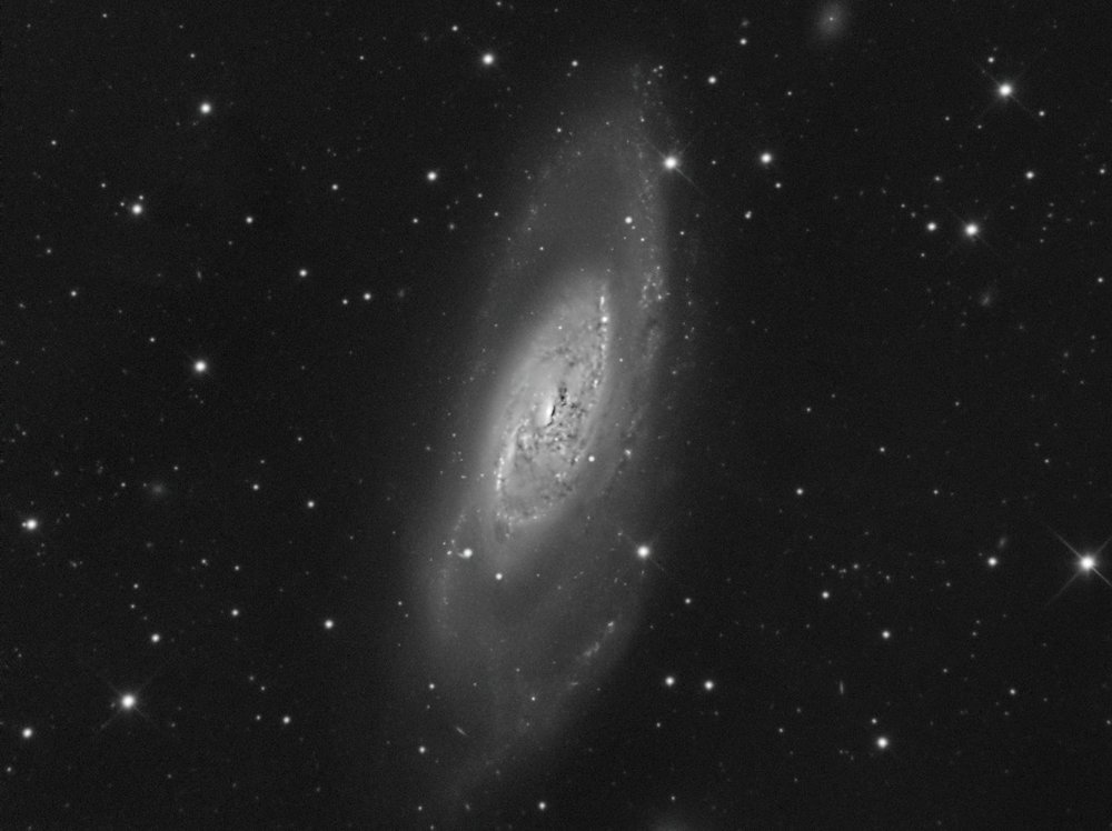 M106_L_v1.thumb.jpg.542f5de7139ec02304eafb4ea1a45c8b.jpg