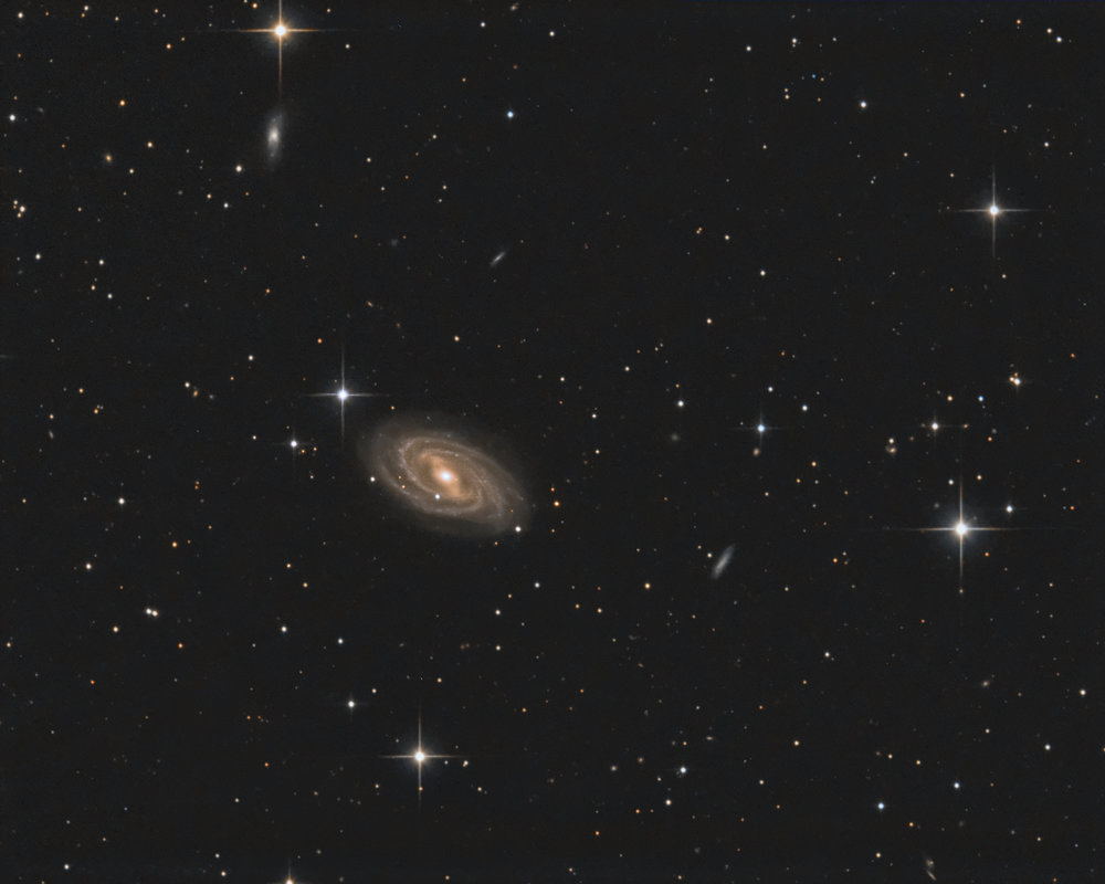 M109Mixtelongueetcourte.jpg