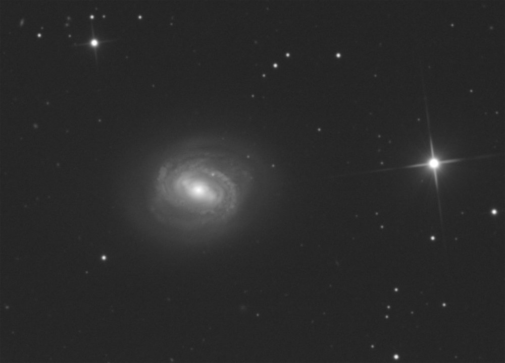 M58_Webcrop1500pix.jpg