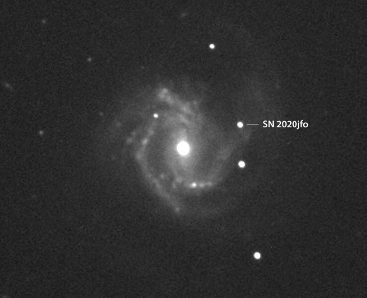 SN-2020jfo_Messier61_8may2020_Gianluca-Masi-label-739x600.jpg.83748bf751cb24a0f6da010fca1db039.jpg