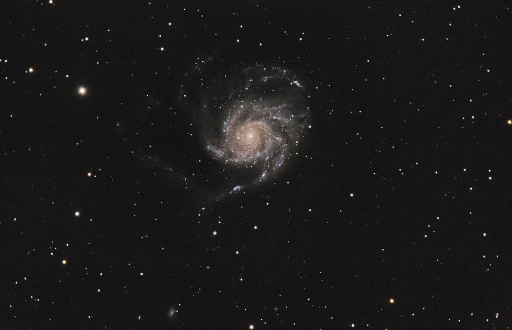 m101.jpg