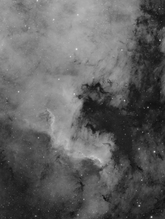 ngc7000_80ED_red08_ST8300_52x5min_29mai2020.thumb.jpg.0287aa021067dd33e4fd55996103a924.jpg
