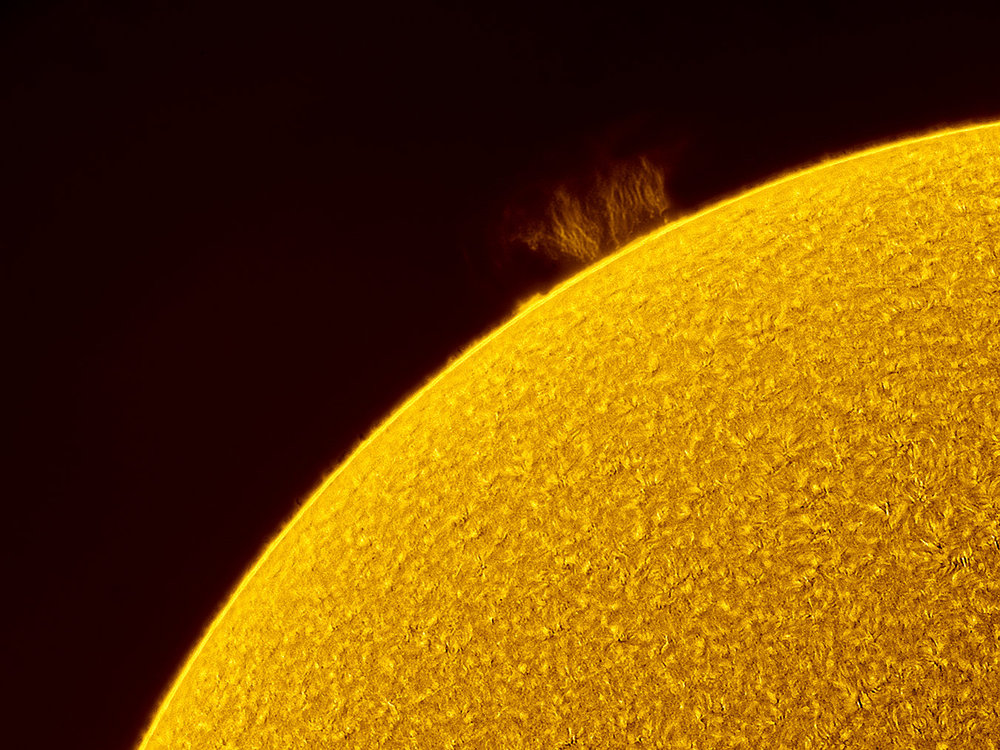 sun-halpha-inverted_14-05-2020_reso0.6.thumb.jpg.54d0a35e537049b1fc59686d58a95f9d.jpg