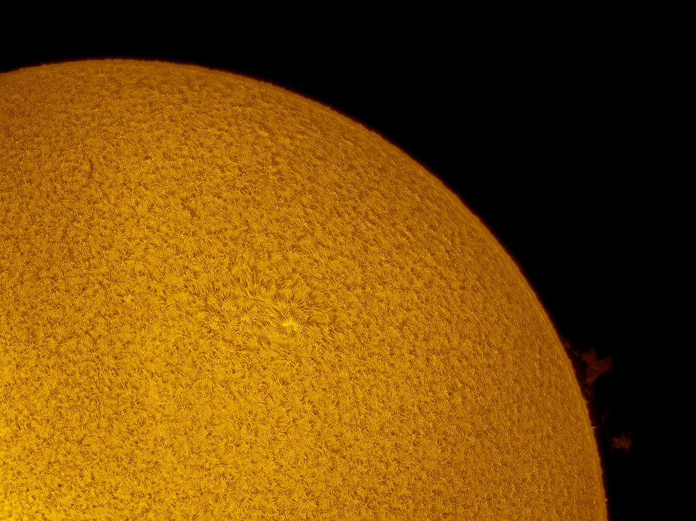 sun-halpha_24-05-2020_reso-0.8_full.thumb.jpg.d9d02ea32bffb6175c1b0a6724dd24d6.jpg