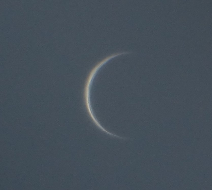 venus27A.thumb.jpg.de7e6ac7c7e3f9a4d041e65b6e5ec8cb.jpg