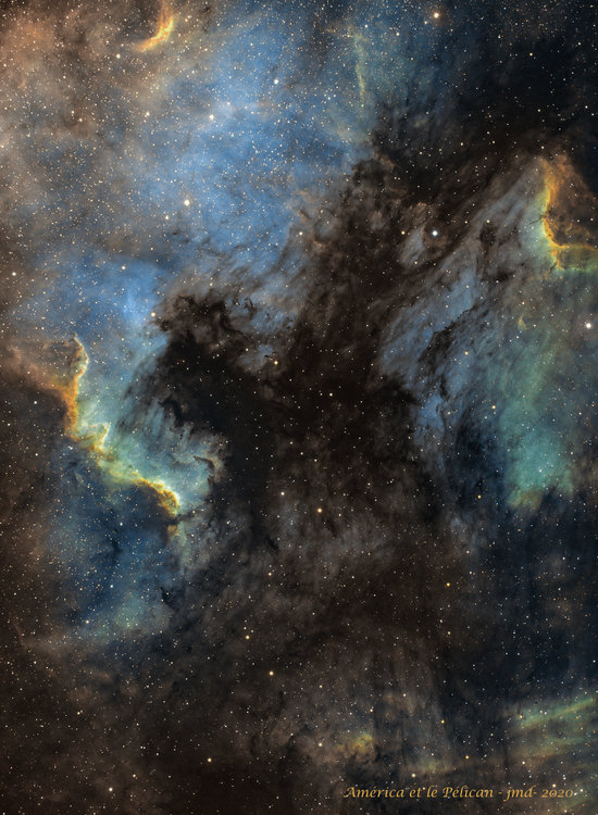 América et le Pélican - 2020- imprimable.jpg