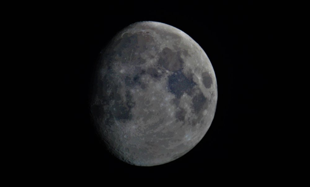 Vrai gibbeuse croissante du 02-06-20 (2).JPG