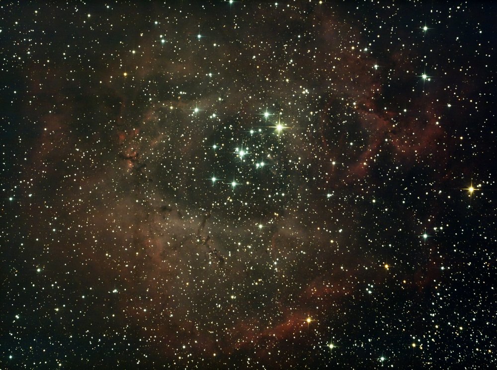 rosette siril aa.jpg