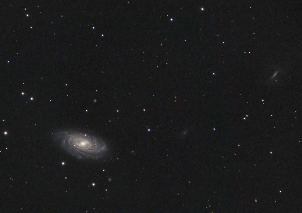 NGC3953_2.thumb.jpg.49decf8388f46bf43282d797f0abf7e3.jpg