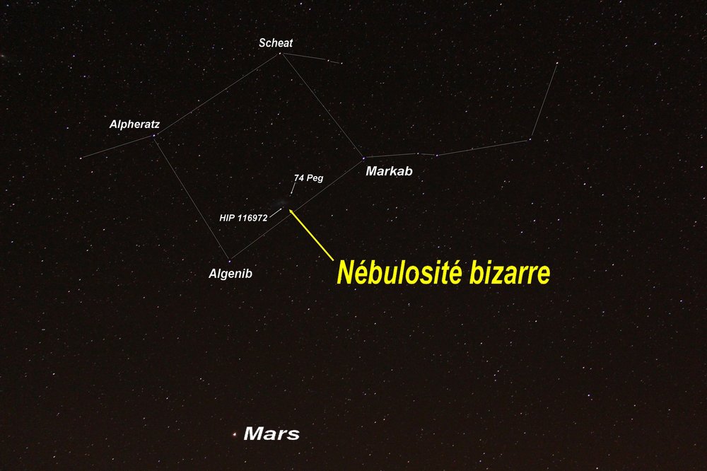 IMG_1484 - Copie.JPG