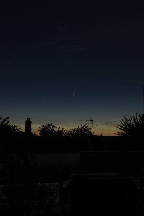 C2020 F3 NEOWISE.jpg