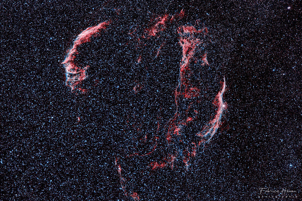 20200710_IC 6995 DENTELLES DU CYGNE_003.jpg