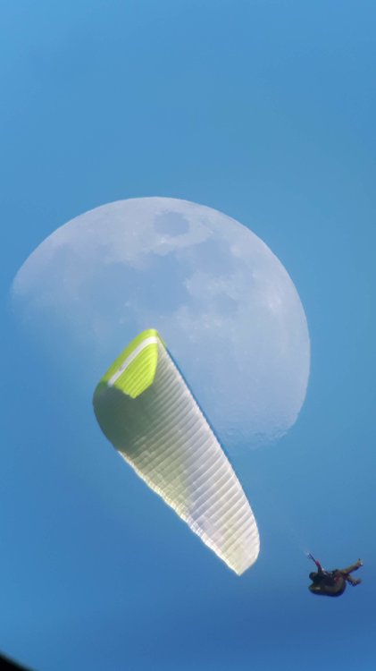 parapentiste 2.jpg