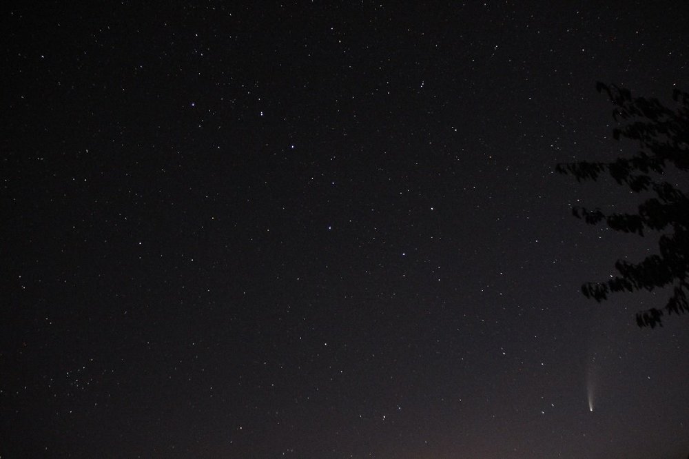 LA GRANDE OURSE NEOWISE LE 17.07.2020.jpg