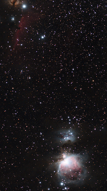 M42