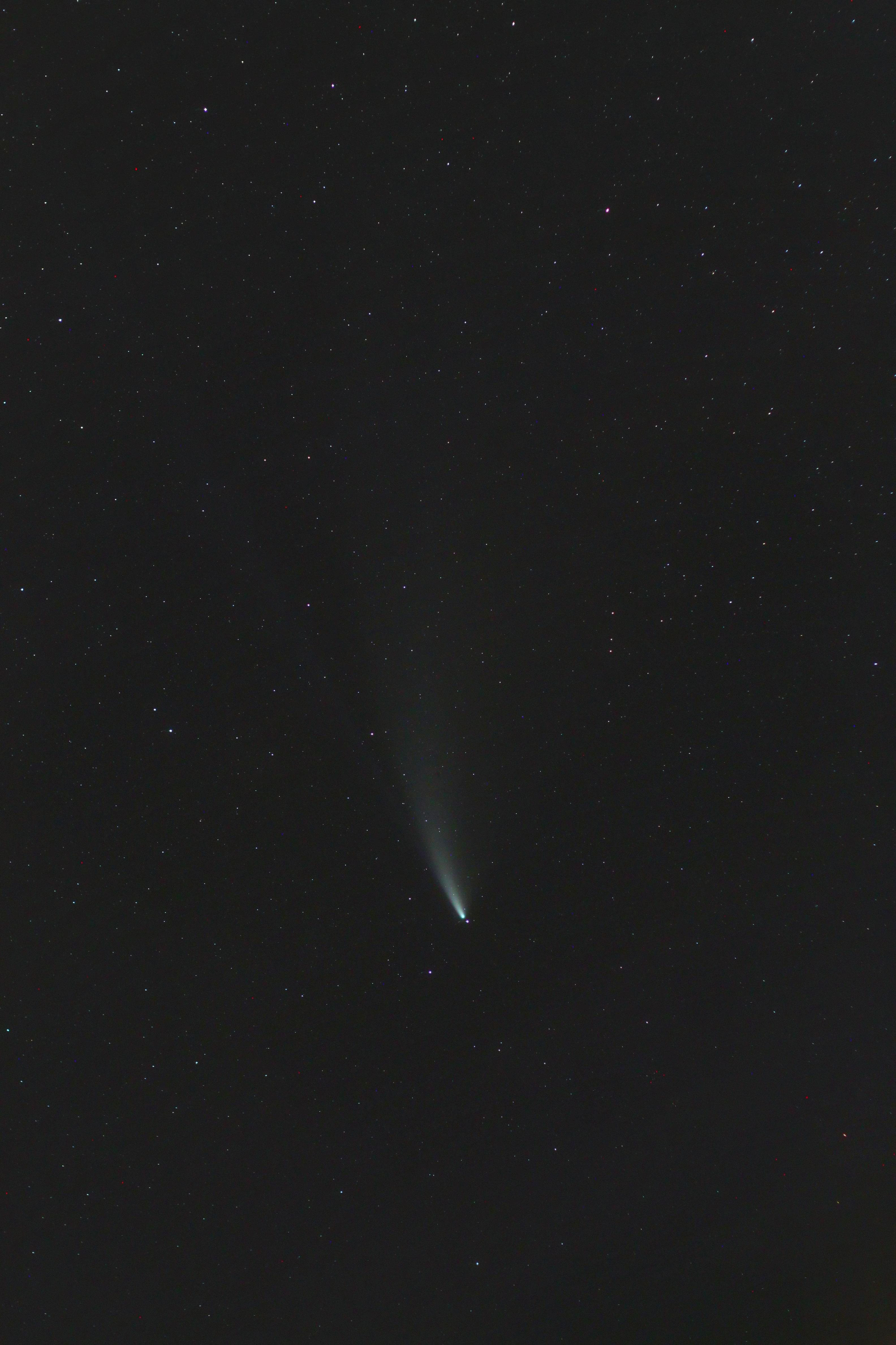 La comète Neowise depuis Strasbourg Astrophotographie Webastro