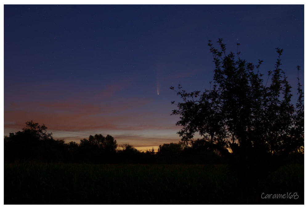 neowise alsacienne.jpg