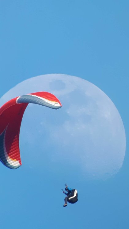 Parapentiste.thumb.jpg.eb2dd98c5ee7ef39ba5d693f8ae4d878.jpg