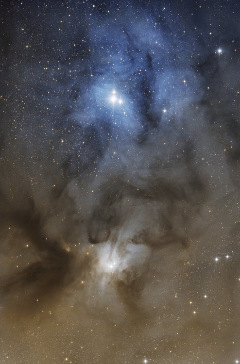 ic4603_web.JPG