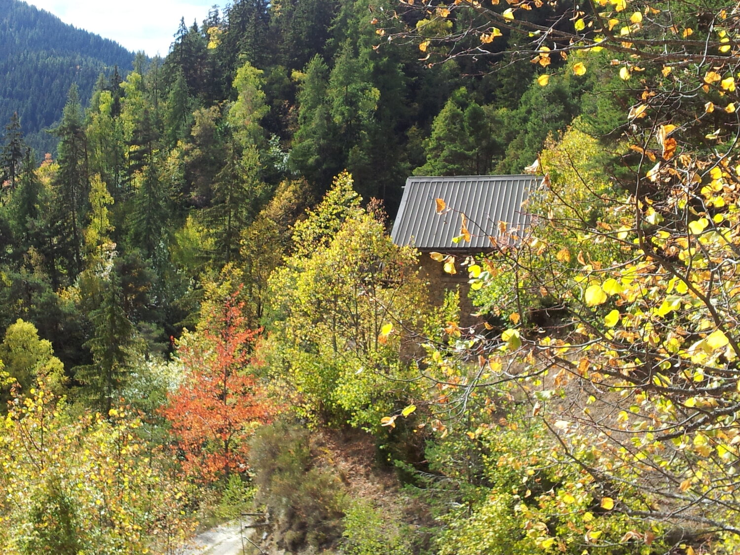 2017-10-08 12.38.50.jpg