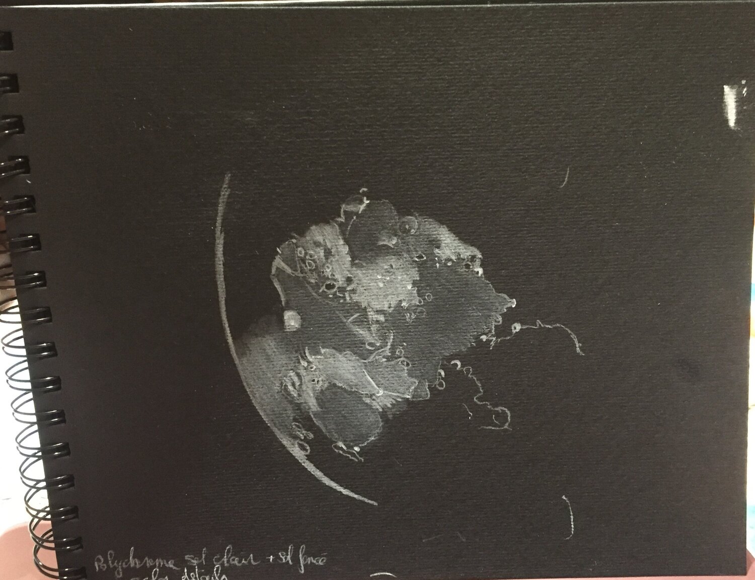 Lune globale 4 27 08 2020.jpg