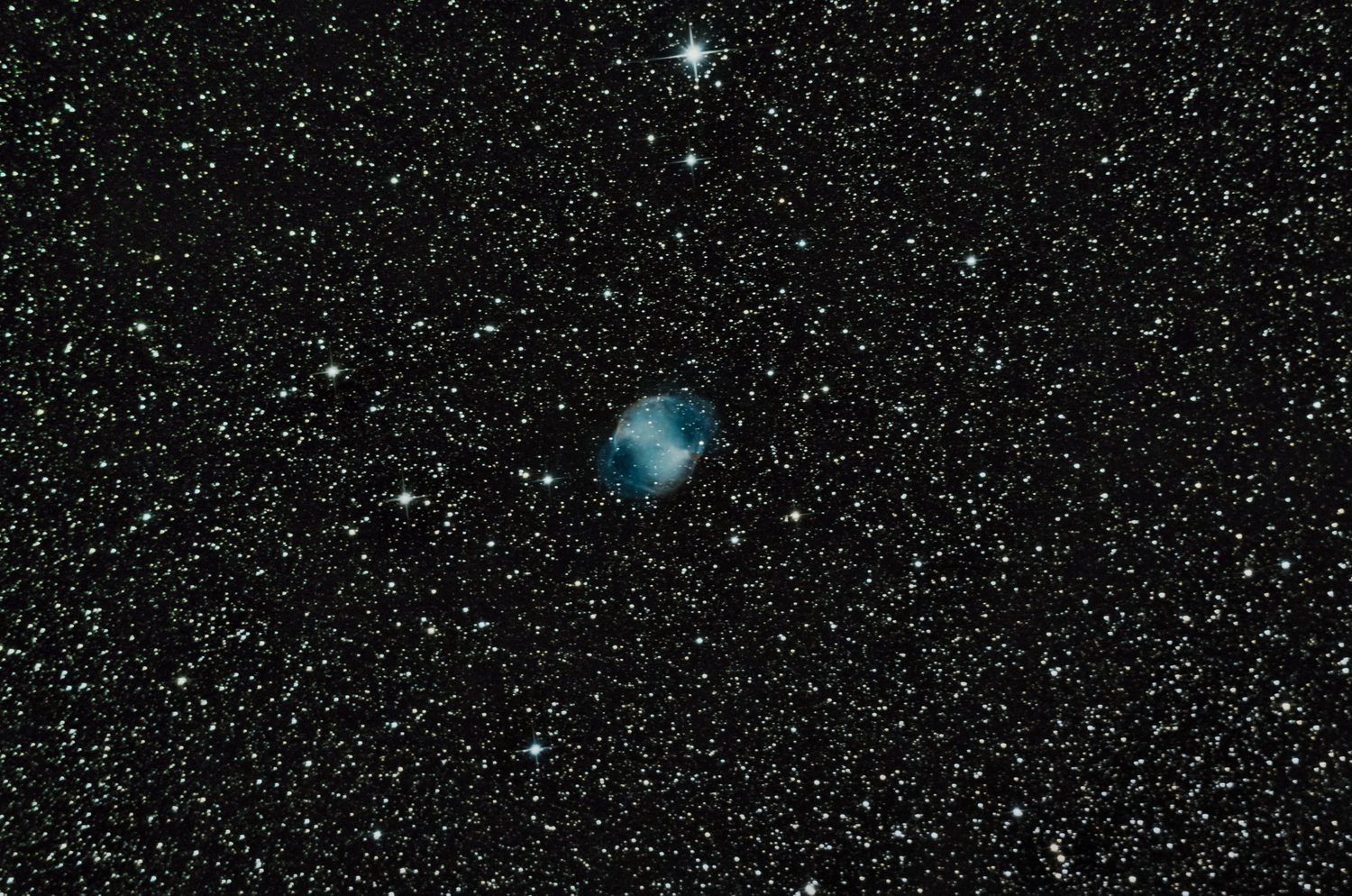 haltere  DEF2DEF.jpg