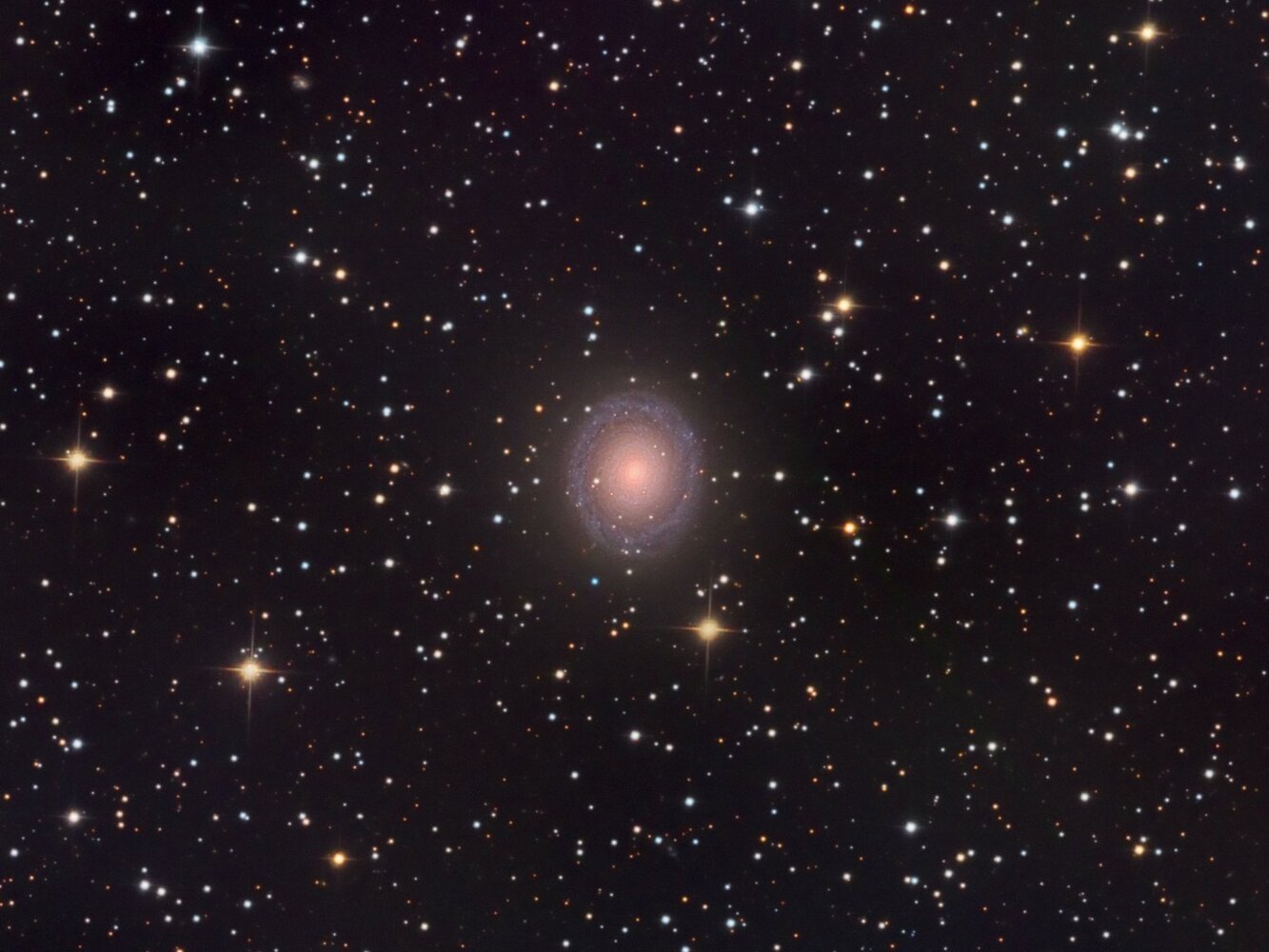 NGC7217Webastro.jpg