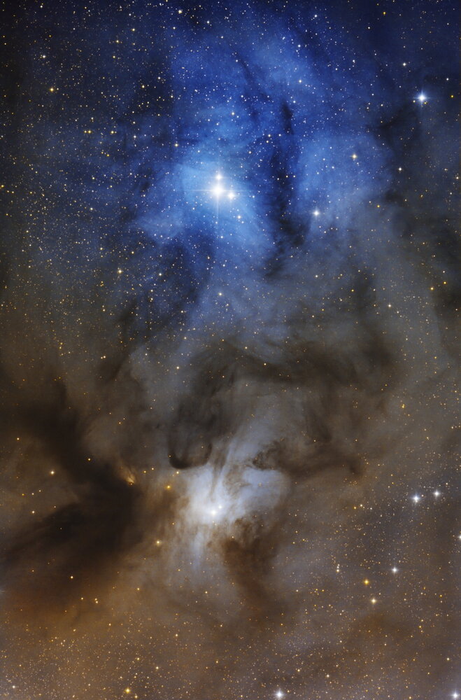 ic4603_stacked_V3_1_web.thumb.JPG.1a322e1ad210adffcc604bfb0d622dc3.JPG
